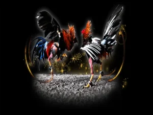 Hướng Dẫn Chơi Đá Gà Sabong Loto188 Từ A Đến Z Cho Người Mới