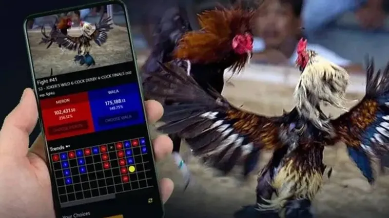 Đá Gà Loto188 Trực Tiếp Đỉnh Cao Cháy Cùng Đam Mê 1 Đá Gà Loto188 Trực Tiếp Đỉnh Cao Cháy Cùng Đam Mê